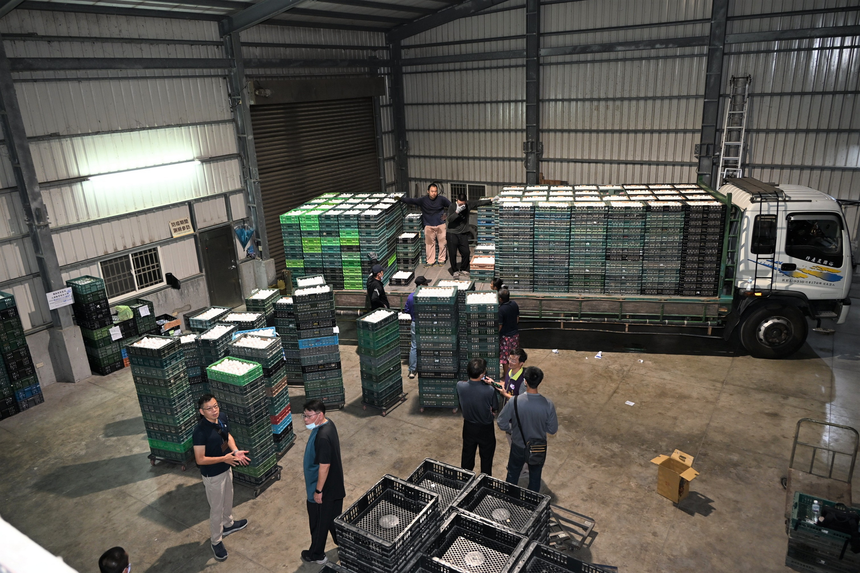 （有影片）／彰化文雅畜牧場雞蛋疑含芬普尼　25萬顆緊急銷毀 - https://www.watchmedia01.com