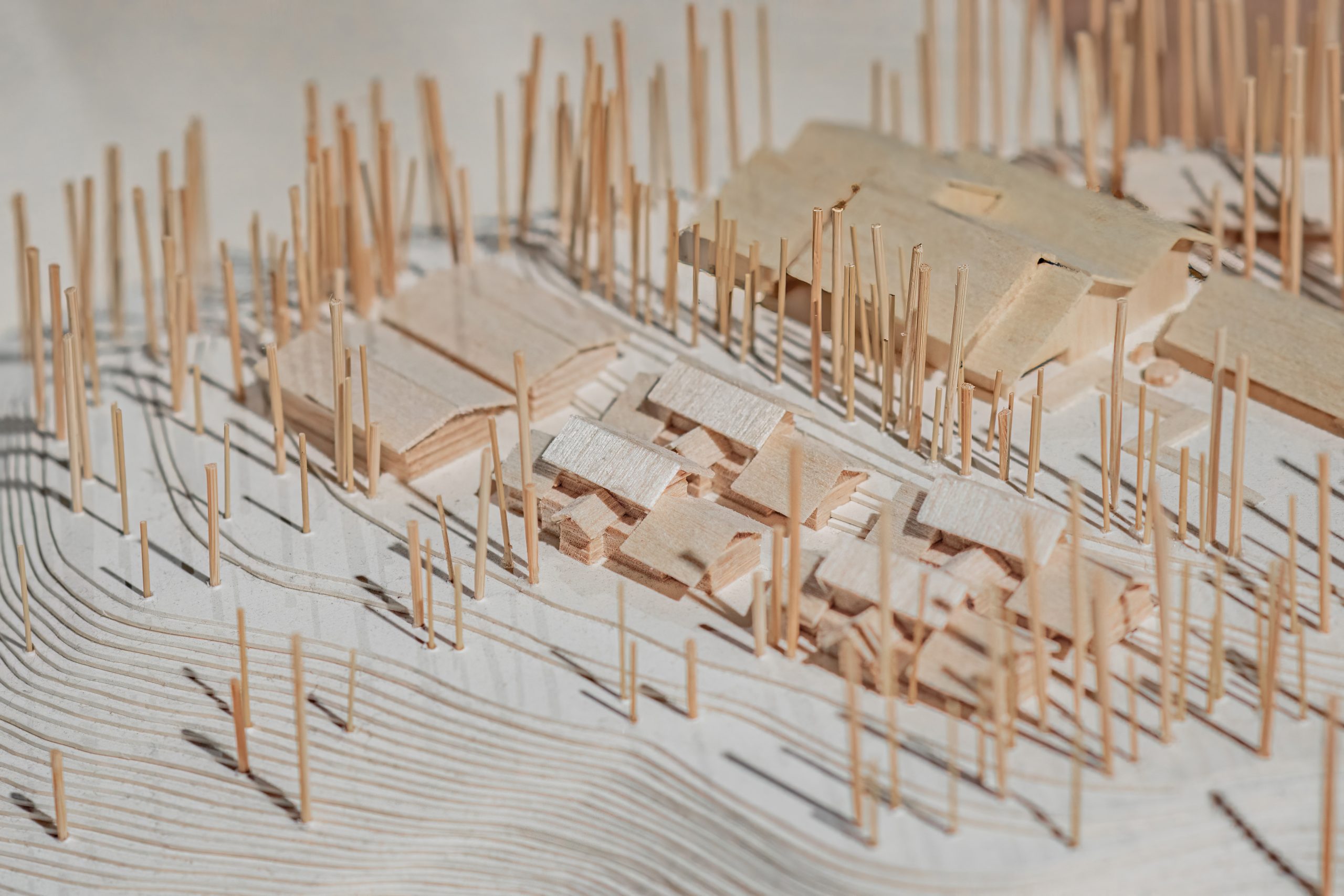 木造建築的低碳革命!走進「木的世代」感受永續美學 | 索引新聞 INDEX News 木造建築的低碳革命!走進「木的世代」感受永續美學 | 索引新聞 INDEX News