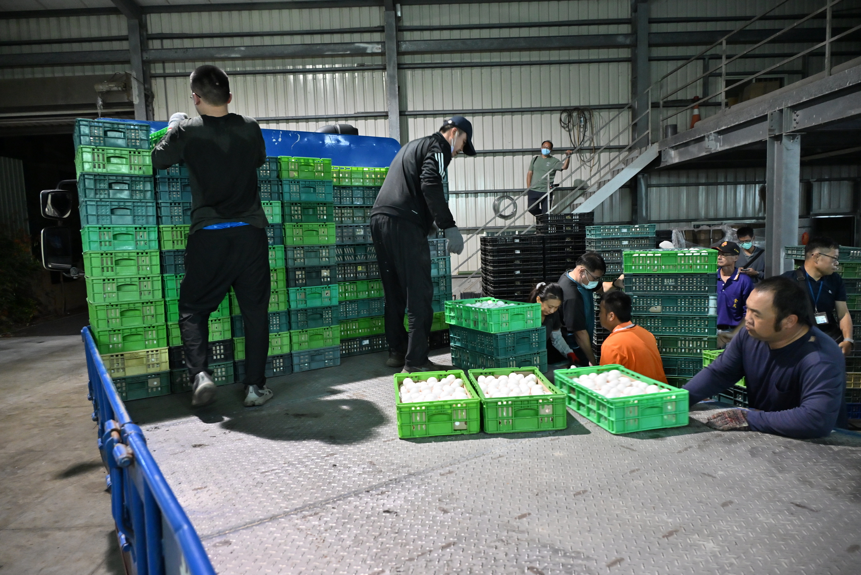 （有影片）／彰化文雅畜牧場雞蛋疑含芬普尼　25萬顆緊急銷毀 - https://www.watchmedia01.com