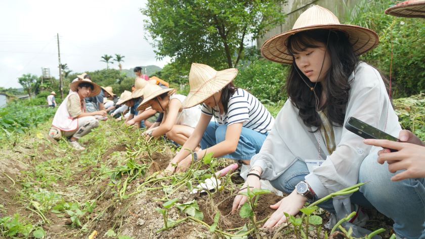 top-news