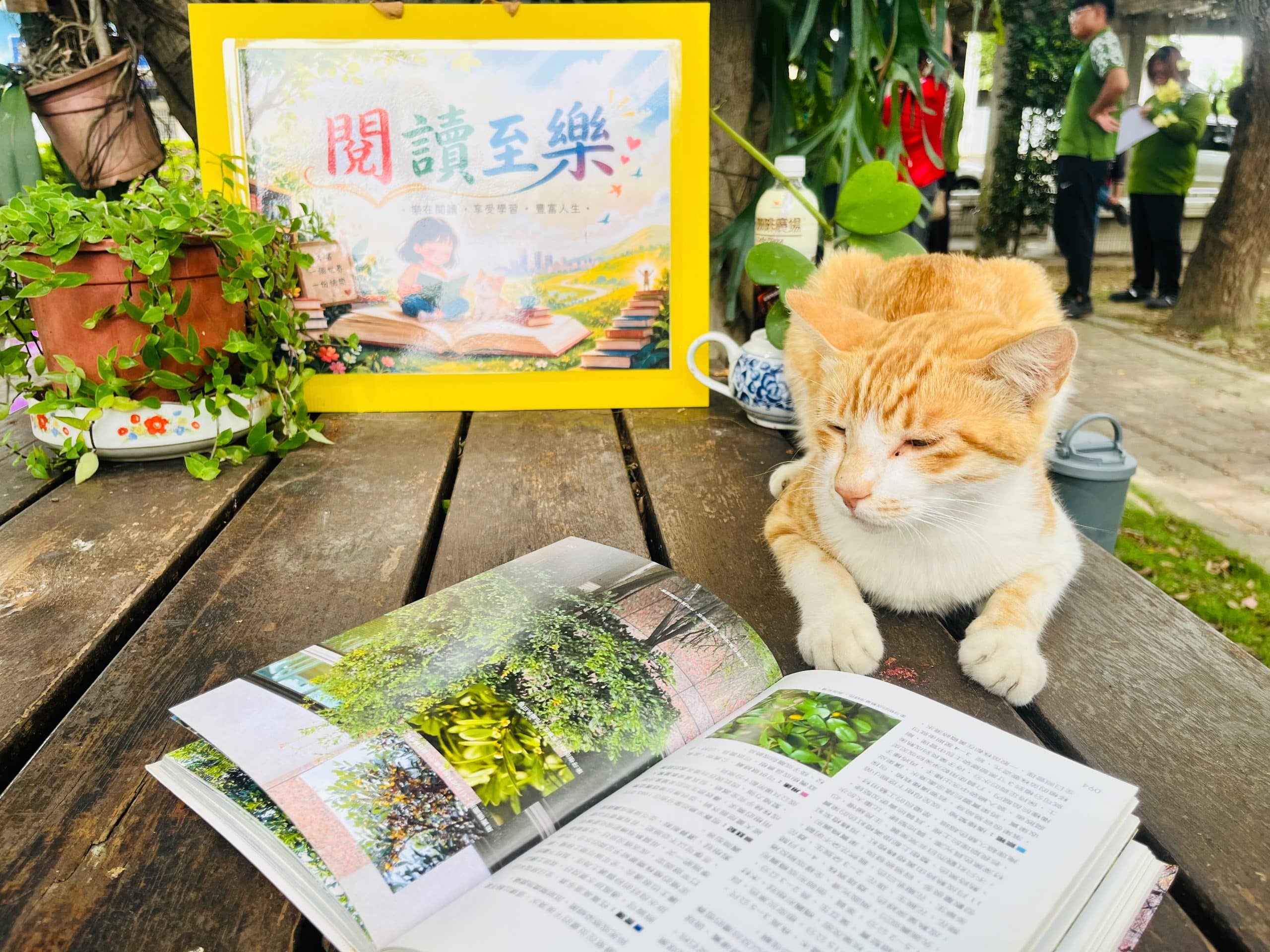 top-news