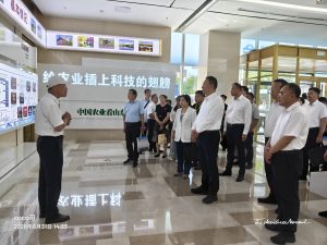 top-news